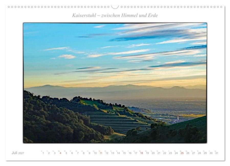 InsideView 11