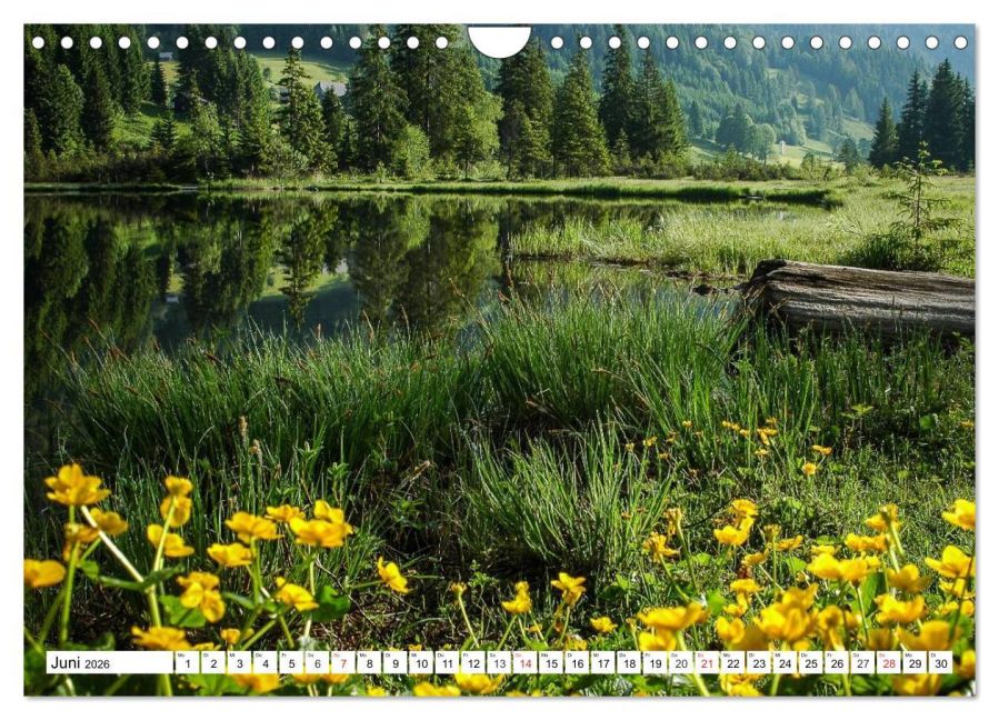 InsideView 11