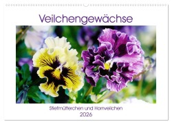 Cover-Bild zum Titel 'Veilchengewächse - Stiefmütterchen und Hornveilchen (Wandkalender 2026 DIN A2 quer), CALVENDO Monatskalender' von 'Gisela Kruse'