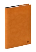 Cover-Bild zum Titel 'PLAN WEEK 1624 ML Andrea braun 2027' von ''
