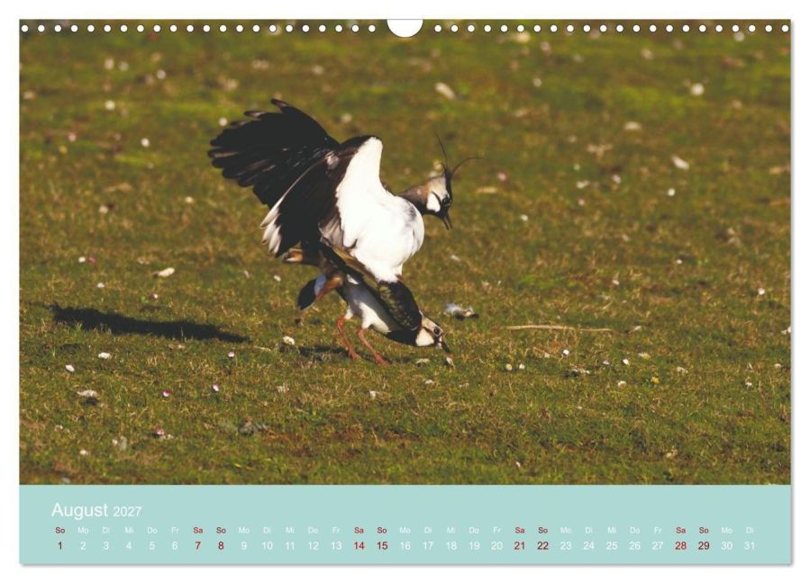InsideView 13
