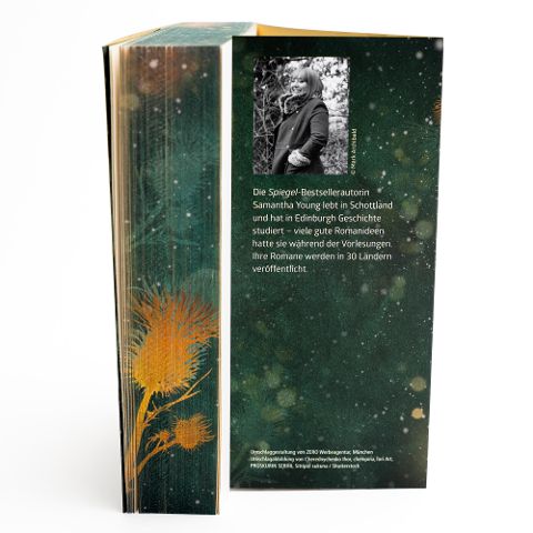 InsideView 5