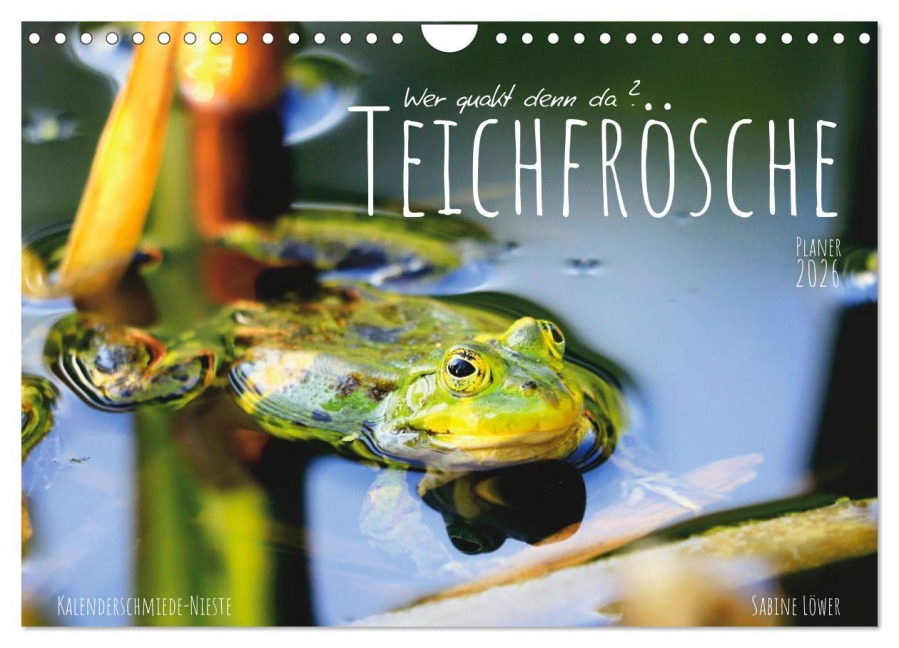 Teichfrösche (Wandkalender 2026 DIN A4 quer), CALVENDO Monatskalender - Sabine Löwer