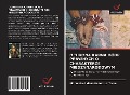 Cover-Bild zum Titel 'OCHRONA KARNA DÓBR PRAWNYCH O CHARAKTERZE MI¿DZYNARODOWYM' von 'Florencia Aldana Nuñez La Torre'