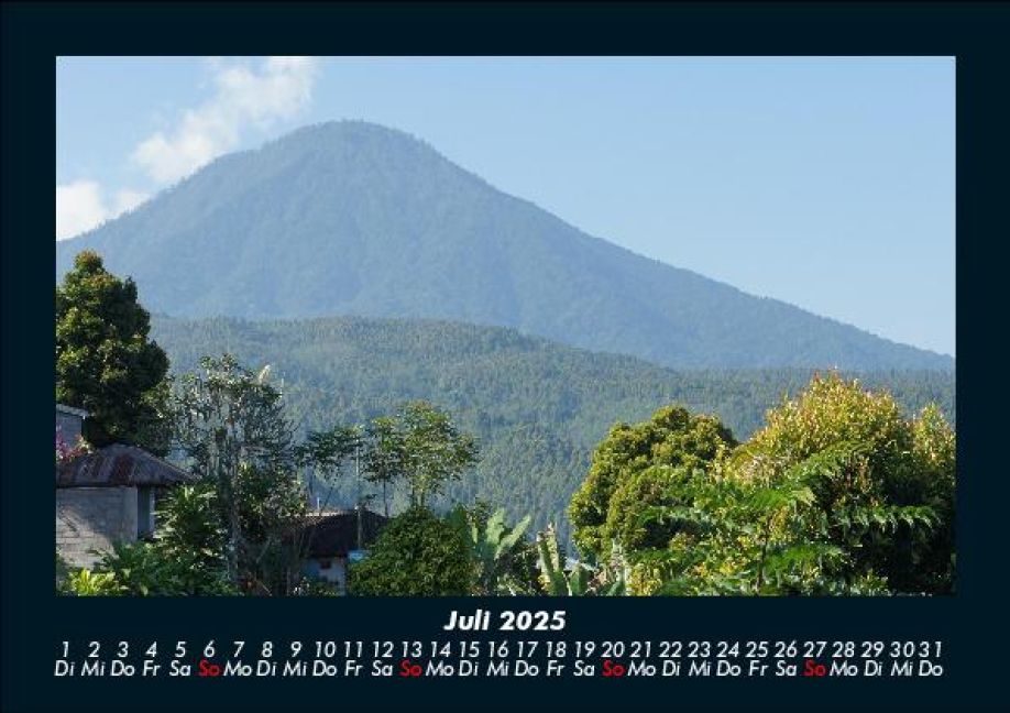 InsideView 11