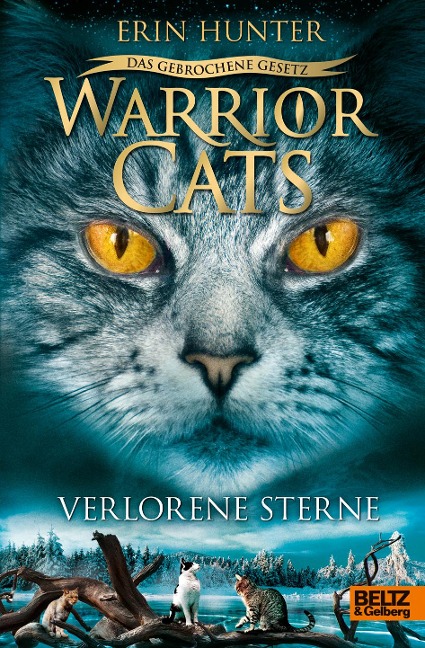 Warrior Cats Staffel 7/01 - Das gebrochene Gesetz - Verlorene Sterne - Erin Hunter