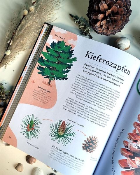 InsideView 13
