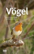 Vögel - 