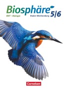 Cover-Bild zum Titel 'Biosphäre Sekundarstufe I. 5./6. Schuljahr. BNT - Biologie. Schülerbuch Baden-Württemberg' von 'Stefan Auerbach, Werner Bils, Robert Felch, Gabriele Rupp, Matthias Stoll'