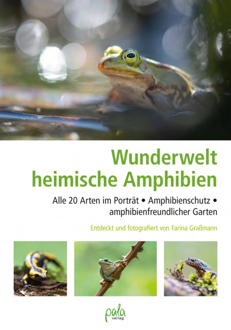 Wunderwelt heimische Amphibien - Farina Graßmann