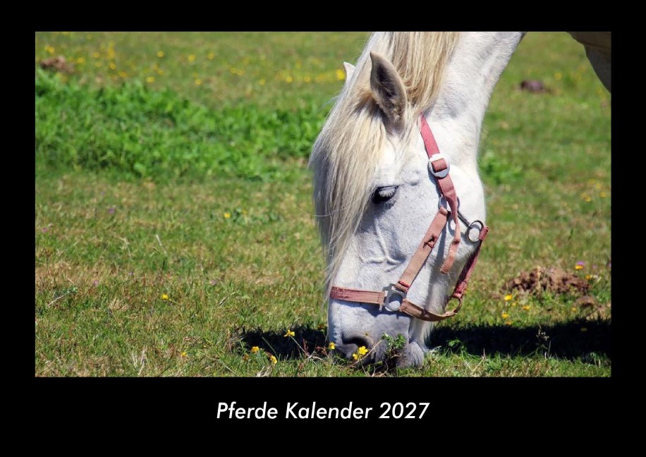 Pferde Kalender 2027 Fotokalender DIN A3 - Tobias Becker