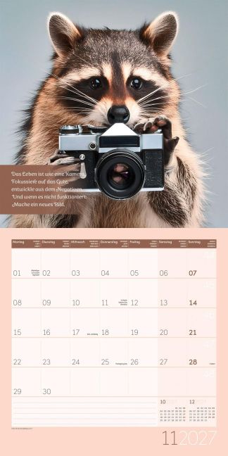 InsideView 11