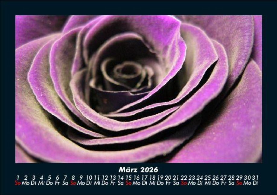 InsideView 7