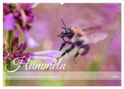 Cover-Bild zum Titel 'Hummeln - Flugaufnahmen eines faszinierenden Insekts (Wandkalender 2026 DIN A2 quer), CALVENDO Monatskalender' von 'Christian Müller'