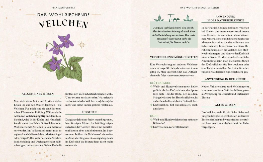 InsideView 5