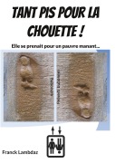 Cover-Bild zum Titel 'Tant pis pour la chouette !' von 'Franck Lambdaz'