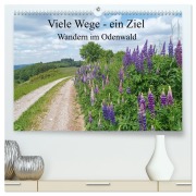 Cover-Bild zum Titel 'Viele Wege - ein Ziel Wandern im Odenwald (hochwertiger Premium Wandkalender 2026 DIN A2 quer), Kunstdruck in Hochglanz' von 'Ilona Andersen'