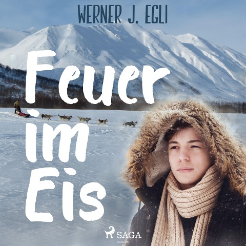 Feuer im Eis - Werner J. Egli