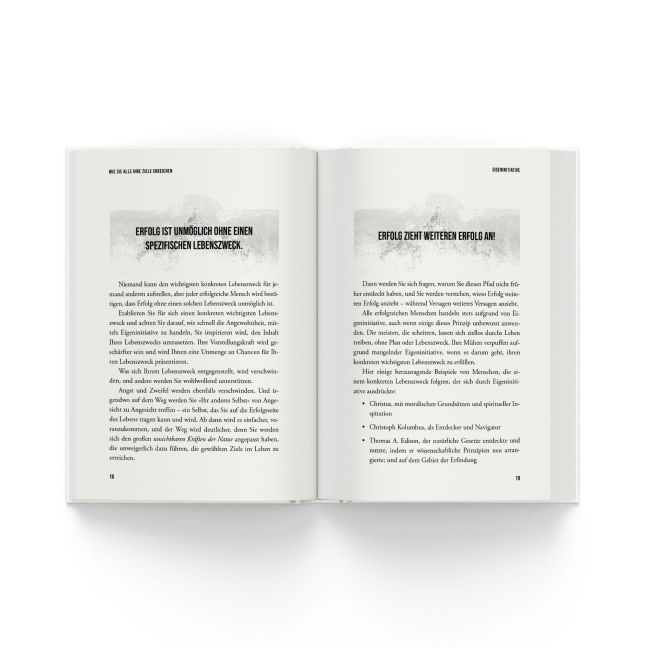 InsideView 2