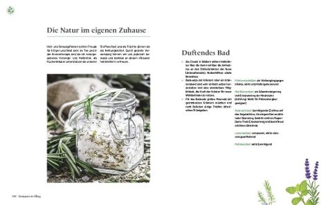 InsideView 6