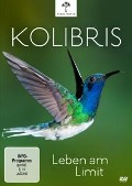 Kolibris - Leben am Limit - Paul Reddish, Markus Pöchinger