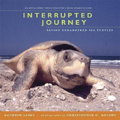 Interrupted Journey - Kathryn Lasky