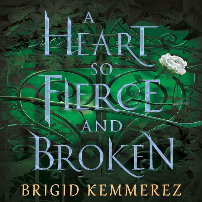 A Heart So Fierce and Broken - Brigid Kemmerer