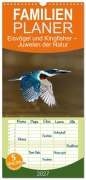 Cover-Bild zum Titel 'Familienplaner 2027 - Eisvögel und Kingfisher - Juwelen der Natur mit 5 Spalten (Wandkalender, 21 x 45 cm) CALVENDO' von 'Andreas Zydek AnZy-Fotografie'