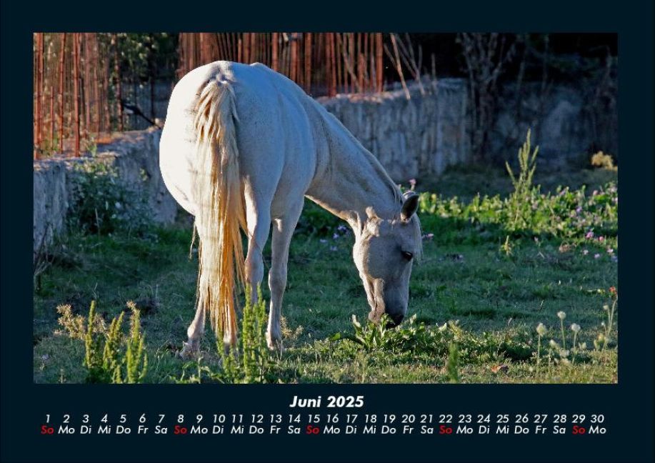 InsideView 10