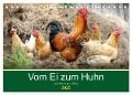 Vom Ei zum Huhn. Die Entwicklung von Küken (Tischkalender 2025 DIN A5 quer), CALVENDO Monatskalender - Rose Hurley