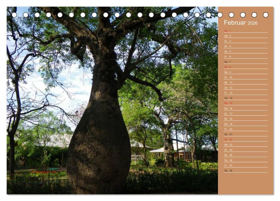 InsideView 7