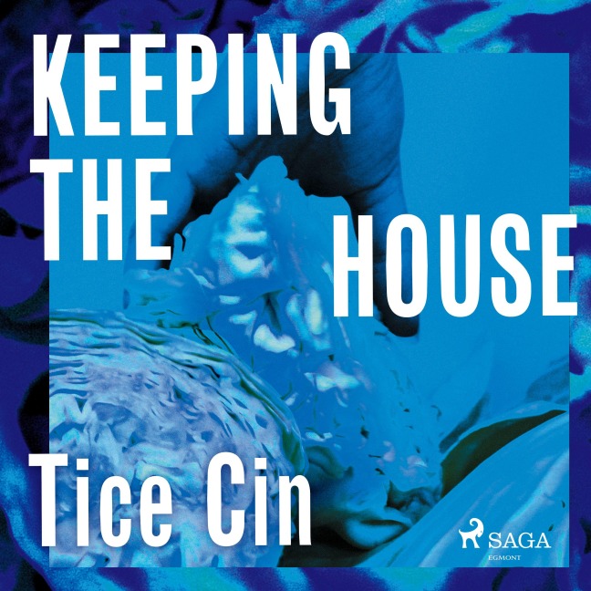 Keeping the House - Tice Cin