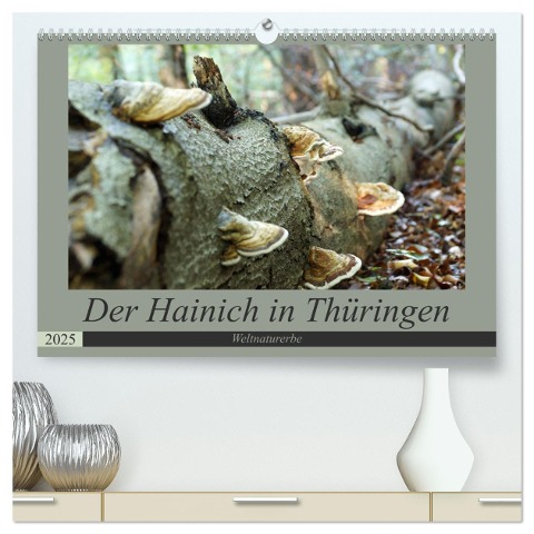 Der Hainich in Thüringen - Weltnaturerbe (hochwertiger Premium Wandkalender 2025 DIN A2 quer), Kunstdruck in Hochglanz - Flori Flori0