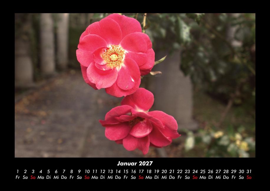 InsideView 5