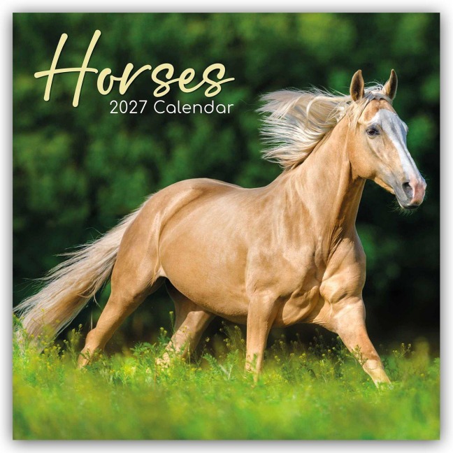 Horses - Pferde 2027 - 16-Monatskalender - Gifted Stationery Co. Ltd