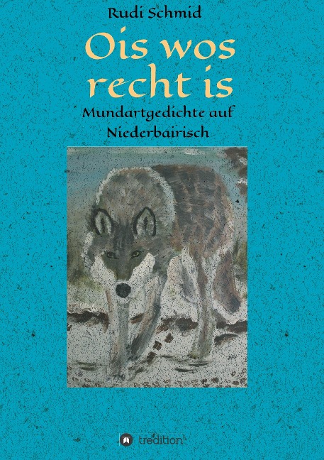 Ois wos recht is - Rudi Schmid