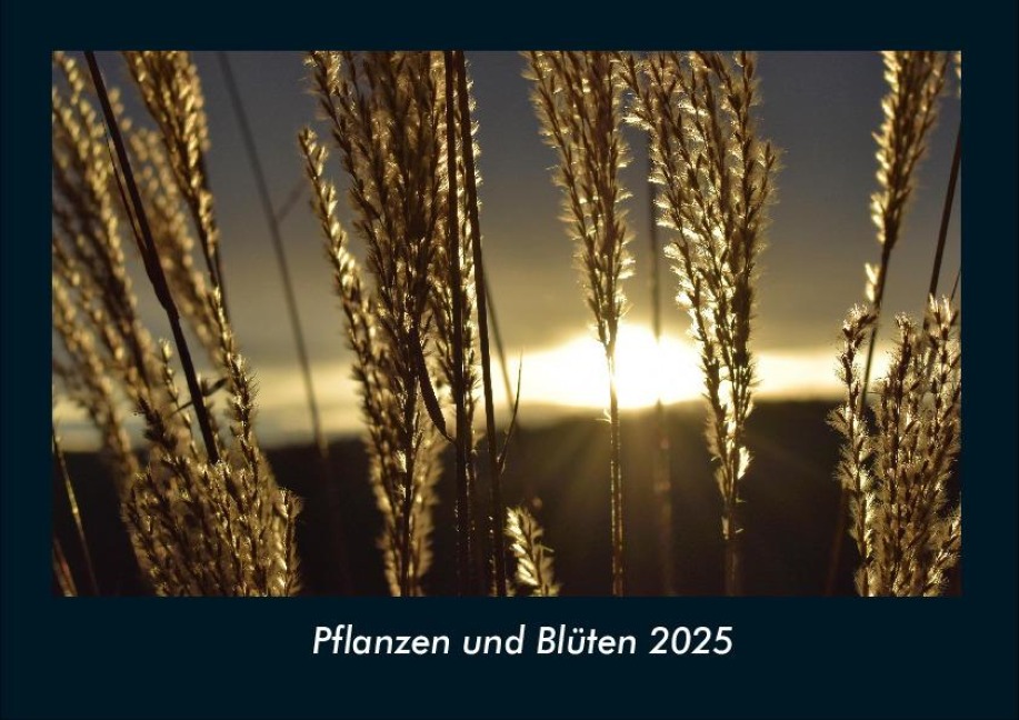 Pflanzen und Blüten 2025 Fotokalender DIN A4 - Tobias Becker