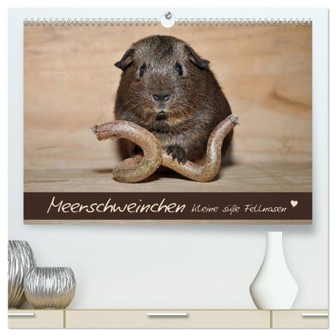 Meerschweinchen - Kleine süße Fellnasen (hochwertiger Premium Wandkalender 2025 DIN A2 quer), Kunstdruck in Hochglanz - Petra Fischer