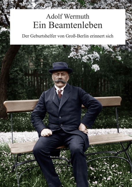 Ein Beamtenleben - Adolf Wermuth