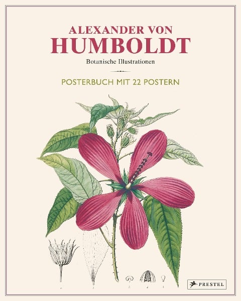 Alexander von Humboldt: Botanische Illustrationen. Posterbuch mit 22 Postern - Otfried Baume