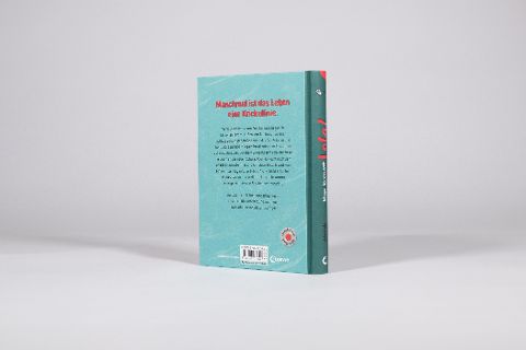 InsideView 2
