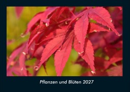 Cover-Bild zum Titel 'Pflanzen und Blüten 2027 Fotokalender DIN A4' von 'Tobias Schmitt, Kevin Heber'