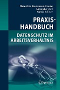 Praxishandbuch Datenschutz im Arbeitsverhältnis - Hans-Eric Rasmussen-Bonne, Alexander Raif, Nicole Fellner