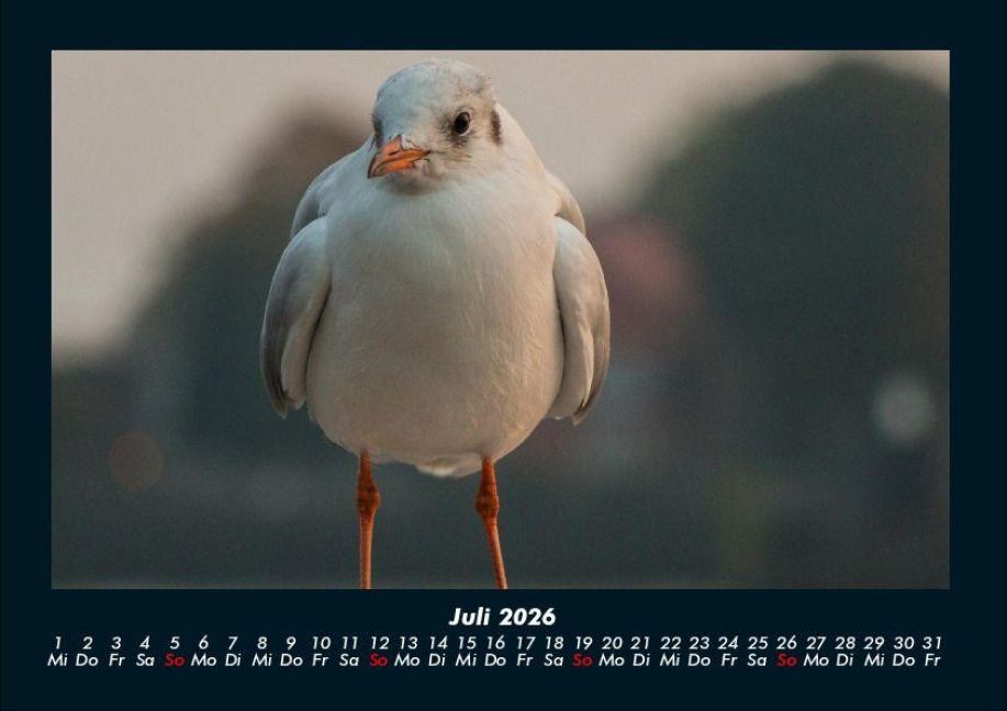 InsideView 11