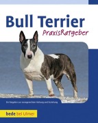 Cover-Bild zum Titel 'Bull Terrier' von 'Bethany Gibson'