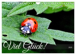 Cover-Bild zum Titel 'Viel Glück! (Wandkalender 2026 DIN A4 quer), CALVENDO Monatskalender' von 'Henning von Löwis of Menar'
