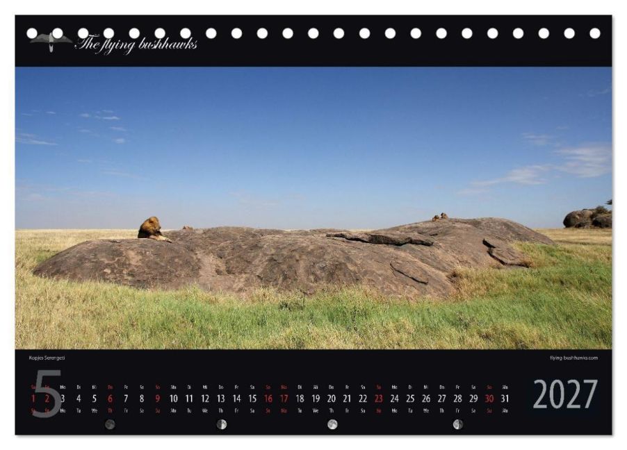 InsideView 10