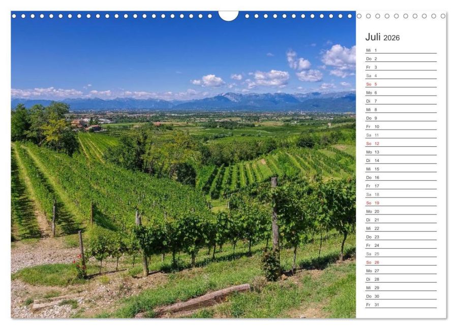 InsideView 12