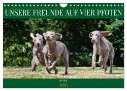 Cover-Bild zum Titel 'Unsere Freunde auf vier Pfoten - Hunde (Wandkalender 2026 DIN A4 quer), CALVENDO Monatskalender' von 'Sigrid Starick'