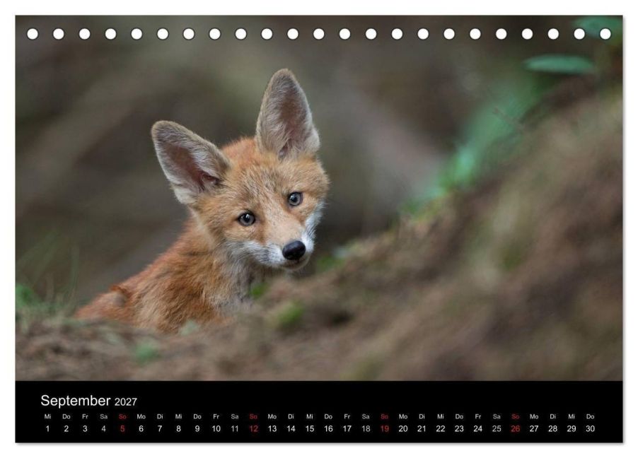 InsideView 14